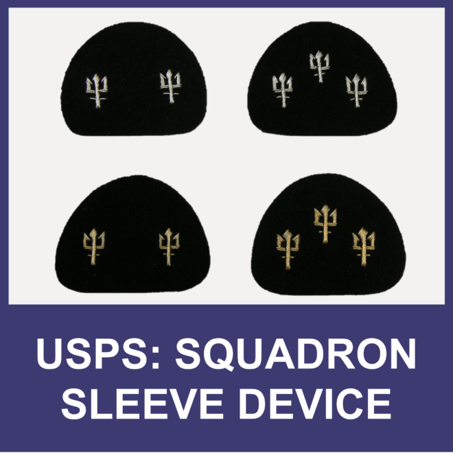 Squadron Sleeve Devices